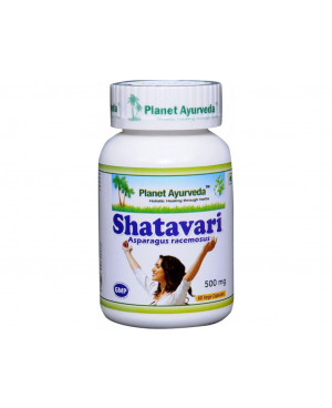 Planet Ayurveda Shatavari extrakt 4:1 500 mg 60 kapsúl	