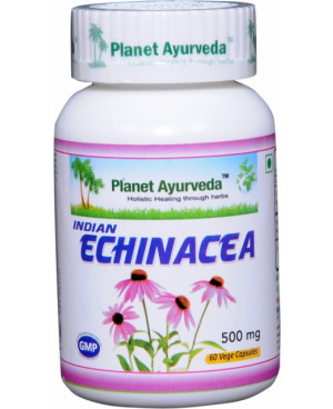 Planet Ayurveda Indická Echinacea extrakt 10:1 500 mg 60 kapsúl	